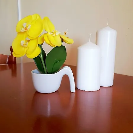 Dani Appartement *