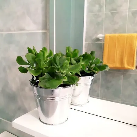 Apartment Dani